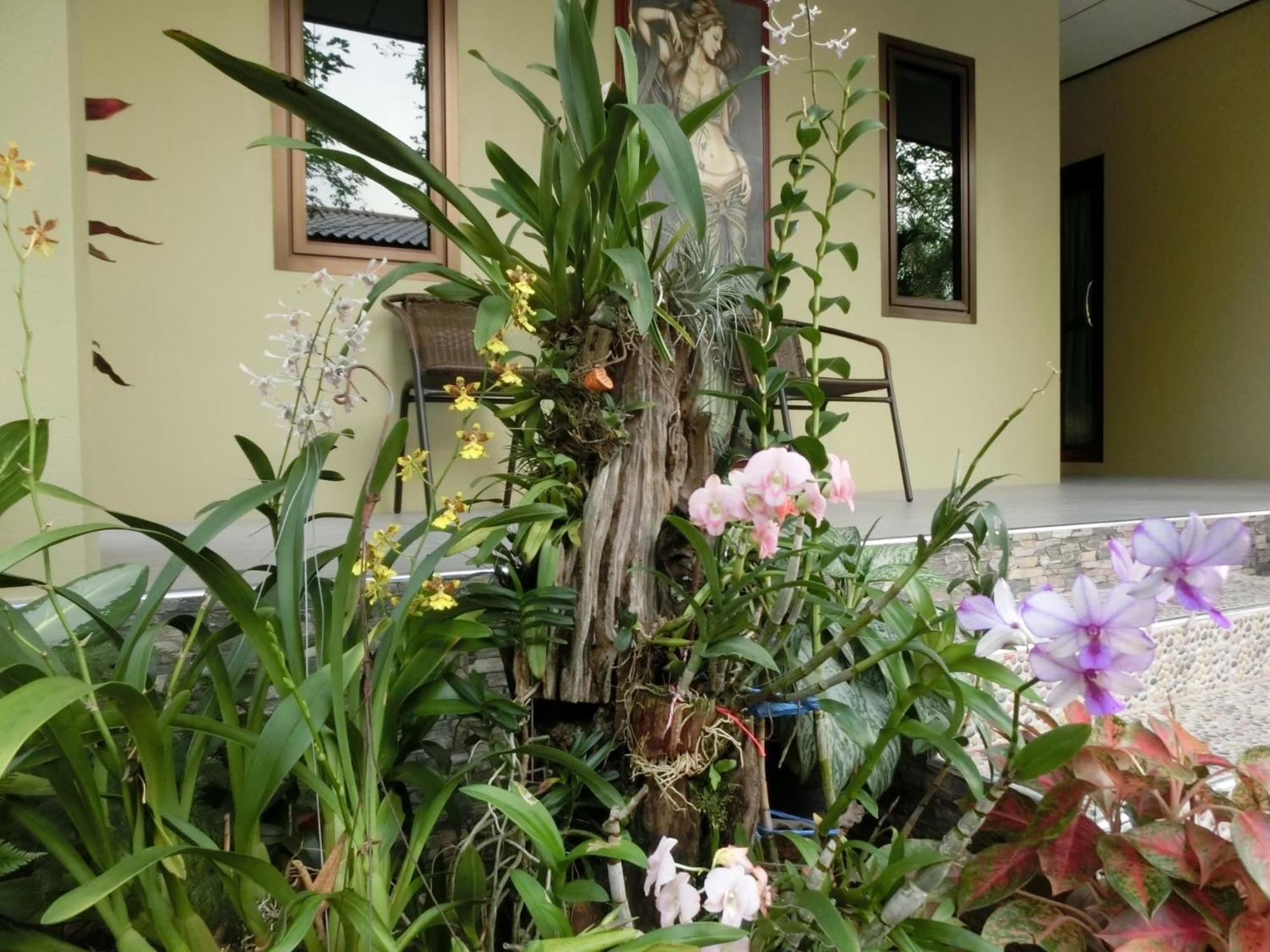 Big House Resort Trat Ngoại thất bức ảnh